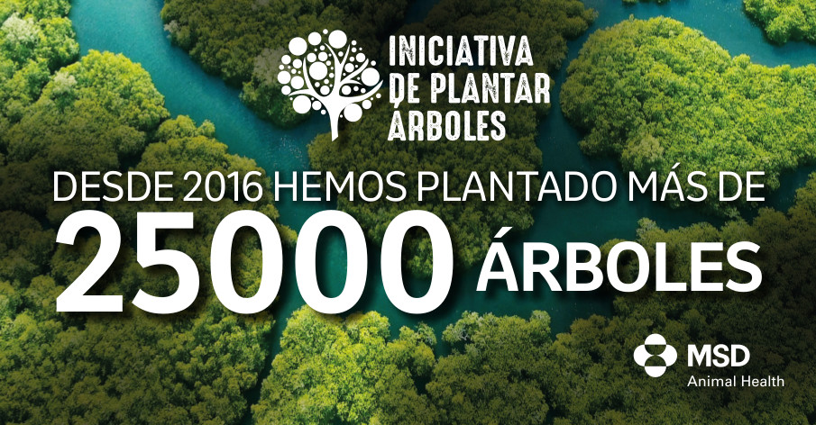 Alianza con WeForest