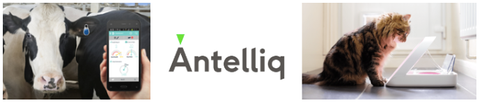 MSD adquiere Antelliq