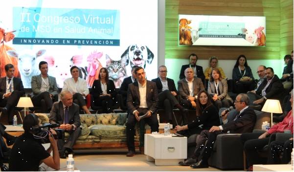 II Congreso Virtual ponencia