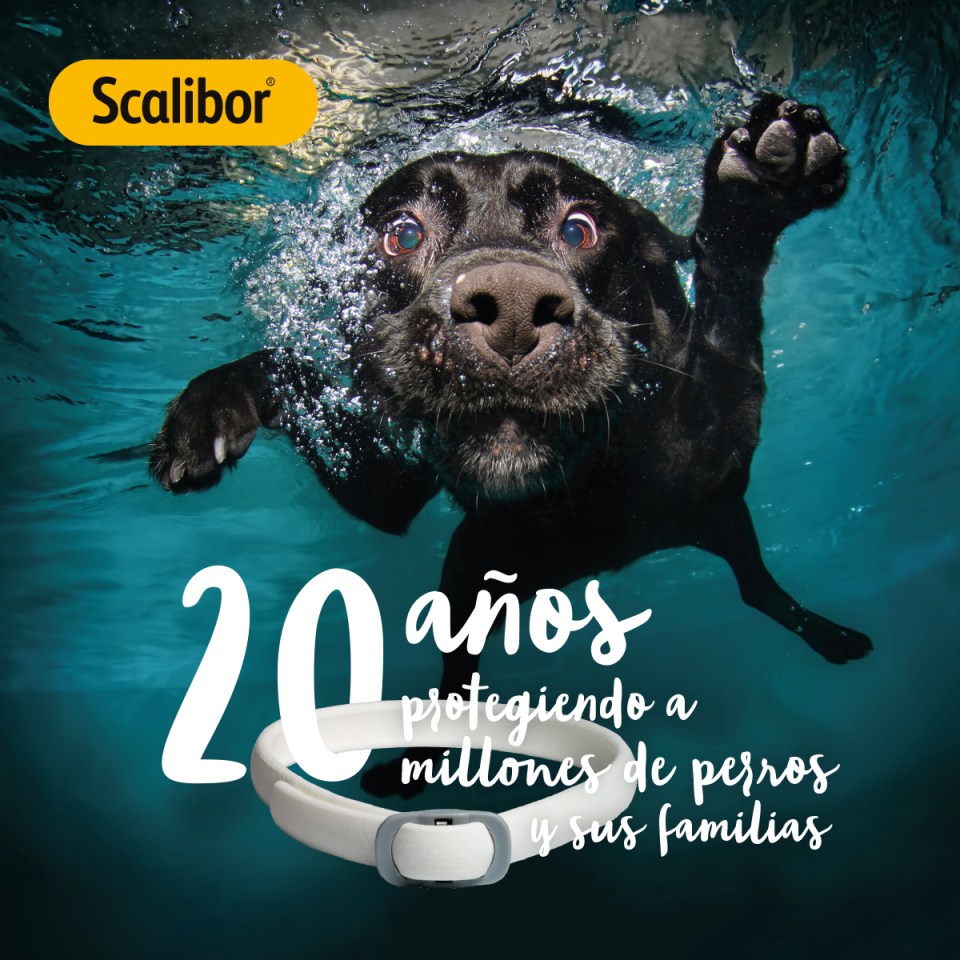 Scalibor®, 20 años protegiendo a millones de perros y sus familias