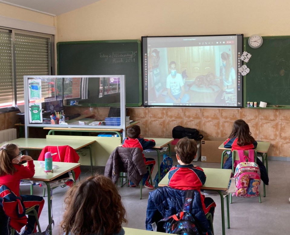 Clase de Emociones con Patas