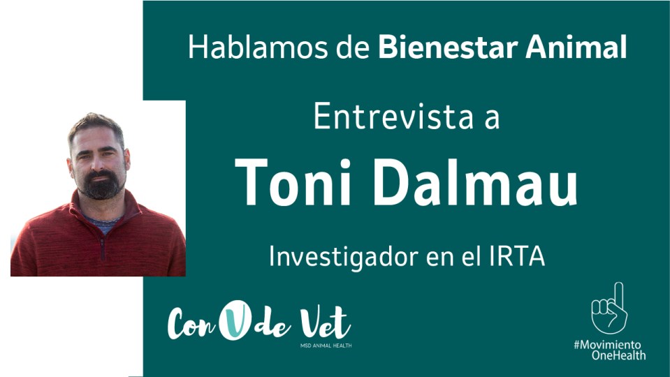 Toni Dalmau