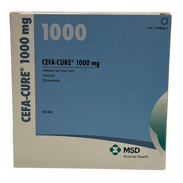 Cefa-cure® 1000 mg Farmacológicos de MSD Animal Health