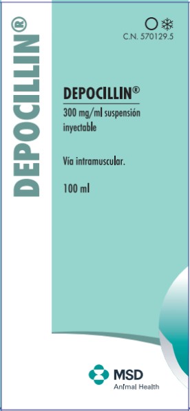 Depocillin picture OWE packshot de Depocillin