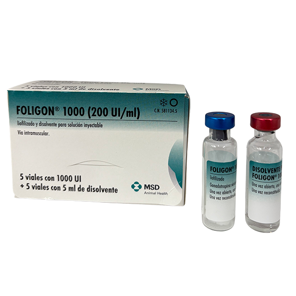 Foligon 1000 (200UI) (caja + disolvente + vial) Foligon® 1000 (200 UI/ml) Farmacológicos de MSD Animal Health