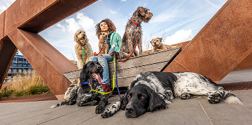La incidencia de la Leishmaniosis en la zona norte se acentúa por el aumento de las temperaturas