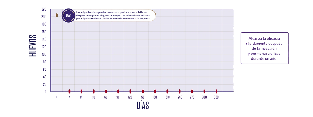 Gráfico de coordenadas que muestra la producción de huevos (HUEVOS) frente al tiempo en días (DÍAS). Incluye una anotación sobre el ciclo de vida de las pulgas hembras en el "Día 1" y un cuadro de texto lateral que destaca la rapidez y duración de la eficacia tras la inyección.