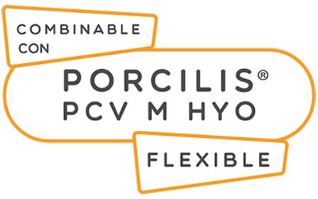 Un diseño gráfico con marcos de contorno naranja sobre un fondo blanco. El texto central dice "PORCILIS® PCV M HYO". Arriba, un recuadro inclinado dice "COMBINABLE CON" y abajo, otro recuadro similar dice "FLEXIBLE". Todo el texto es de color gris oscuro.