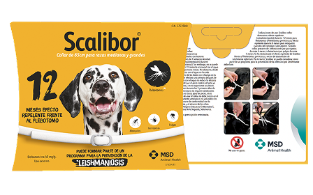 Empaque amarillo del collar Scalibor con imagen de un Dálmata, iconos de parásitos y guía de aplicación en cuatro pasos.