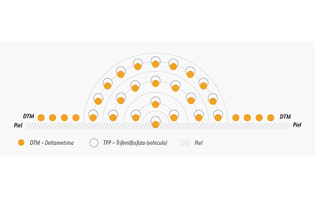 Diagrama en el que se muestran los elementos DTM y TPP con círculos naranjas en la superficie cutánea y círculos blancos debajo, unidos por líneas arqueadas.