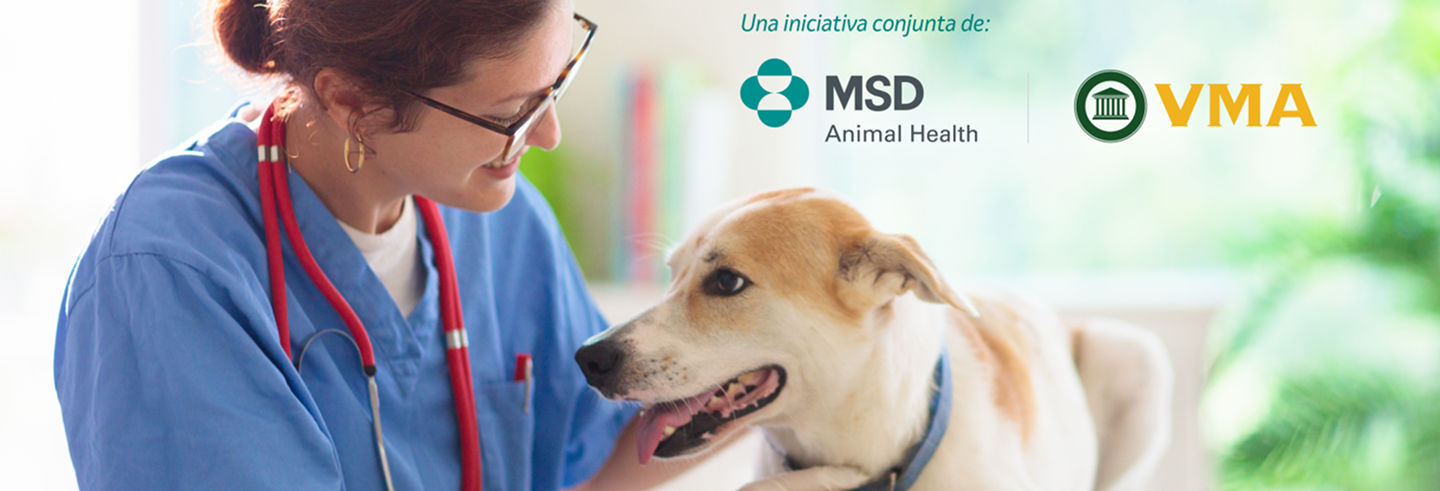 Pere Mercader es un veterinario con un enfoque económico, dedicado a ayudar a sus colegas a lograr el éxito financiero y equilibrar su vida laboral y personal. Ha realizado investigaciones sobre la rentabilidad de hospitales veterinarios y ha ofrecido conferencias en más de 35 países. Fundador de VMS (Veterinary Management Studies), proporciona servicios de evaluación comparativa a más de 800 hospitales en España. Además, es cofundador de la Asociación Española de Gestión de la Práctica Veterinaria (AGESVET) y autor del libro “Soluciones Empresariales para Prácticas Veterinarias”.