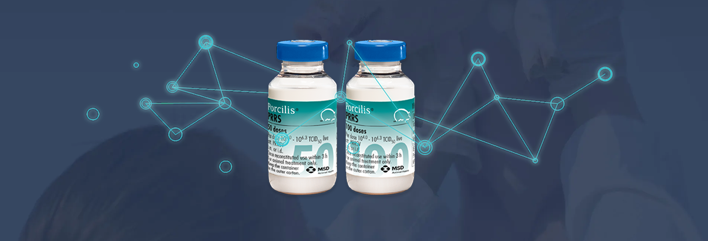 Dispositivo IDAL para vacunación intradérmica sin aguja en porcino