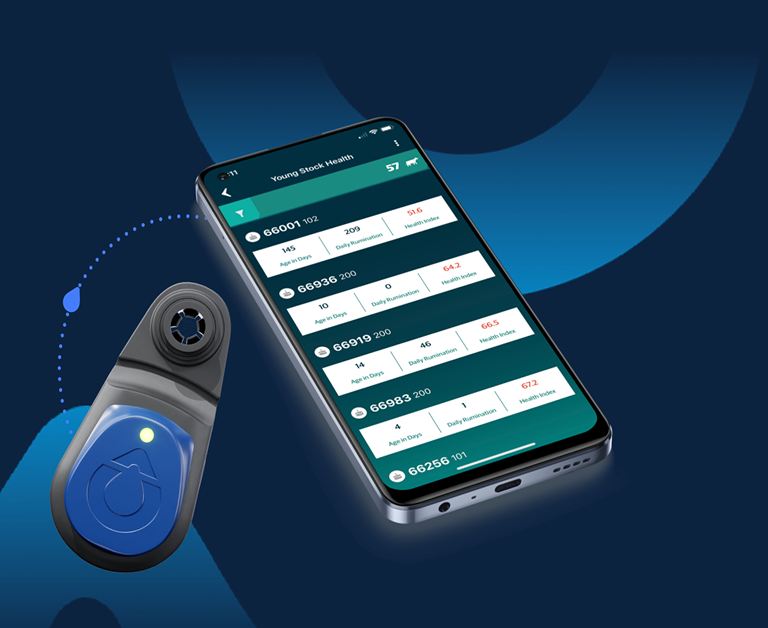 Un teléfono inteligente mostrando la aplicación de monitoreo SenseHub con datos de "Salud de Ganado Joven" junto a un sensor auricular azul. La pantalla detalla el índice de salud y la rumia de diferentes animales.
