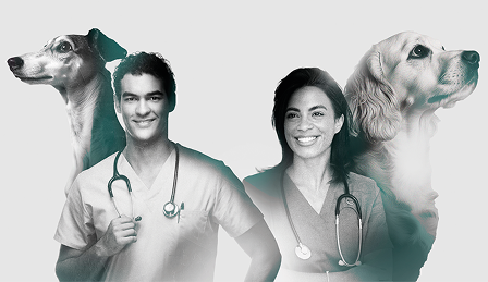 Profesionales de salud animal Composición gráfica de dos profesionales veterinarios sonriendo junto a dos perros sobre fondo claro.
