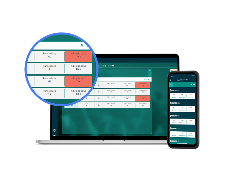 Una computadora portátil y un teléfono inteligente muestran la plataforma de gestión ganadera con datos en tiempo real. Un círculo de aumento destaca columnas con los términos en español "Rumia diaria" e "Índice de salud", mostrando valores numéricos y alertas en rojo.