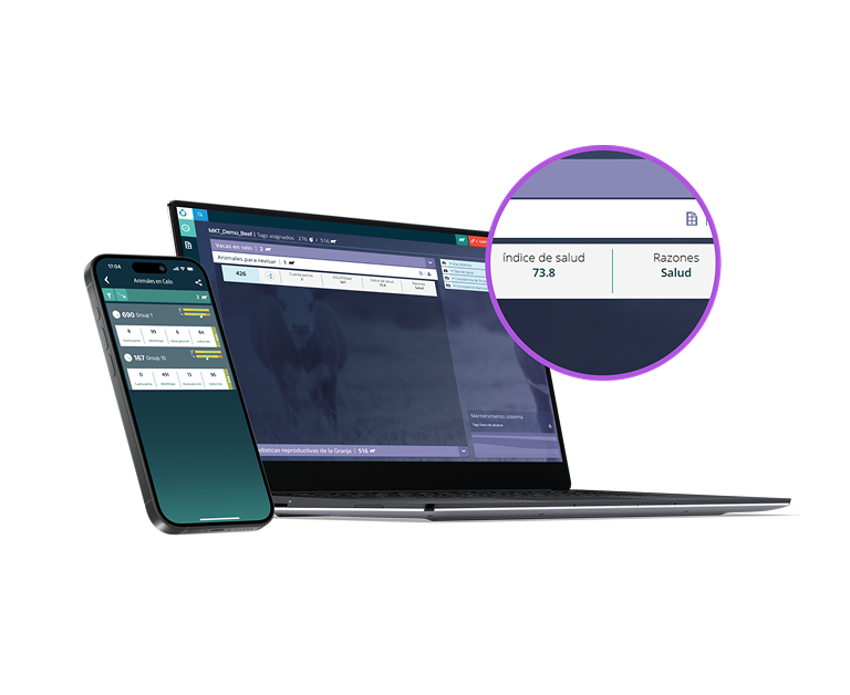Interfaz digital de gestión ganadera mostrada en una computadora portátil y un teléfono inteligente, con un detalle ampliado del índice de salud.