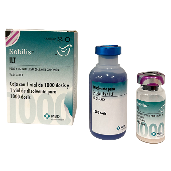 Envase del producto inmunológico veterinario Nobilis® ILT de MSD Animal Health. El empaque muestra la marca Nobilis® ILT, información del producto y el logotipo de MSD Animal Health.