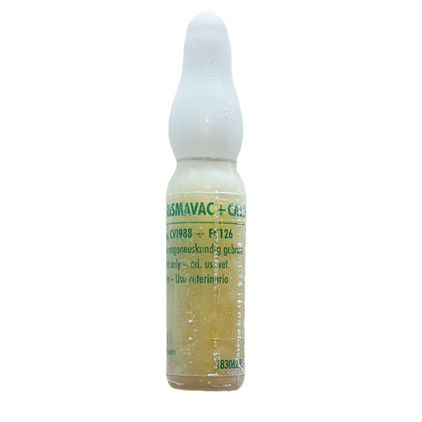 Envase del producto inmunológico veterinario Nobilis® Rismavac + Ca126 de MSD Animal Health. El empaque muestra la marca Nobilis® Rismavac + Ca126, información del producto y el logotipo de MSD Animal Health.