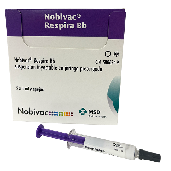 Jeringa del producto inmunológico veterinario Nobivac® Respira BB de MSD Animal Health. El empaque muestra la marca Nobivac® Respira BB, información del producto y el logotipo de MSD Animal Health.