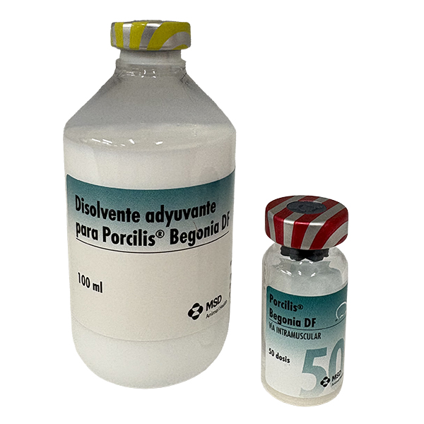 Porcilis® Begonia DF inmunológicos de MSD Animal Health