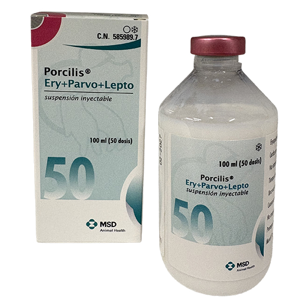 Porcilis® Ery+Parvo+Lepto Porcilis® Ery+Parvo+Lepto inmunológicos de MSD Animal Health