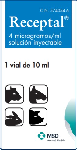 Pack shot de Receptal