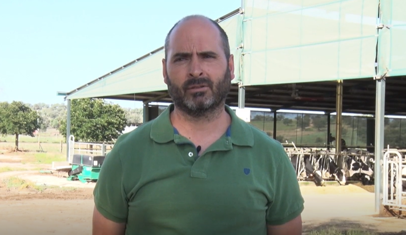 Testimonio El Niño Bonito