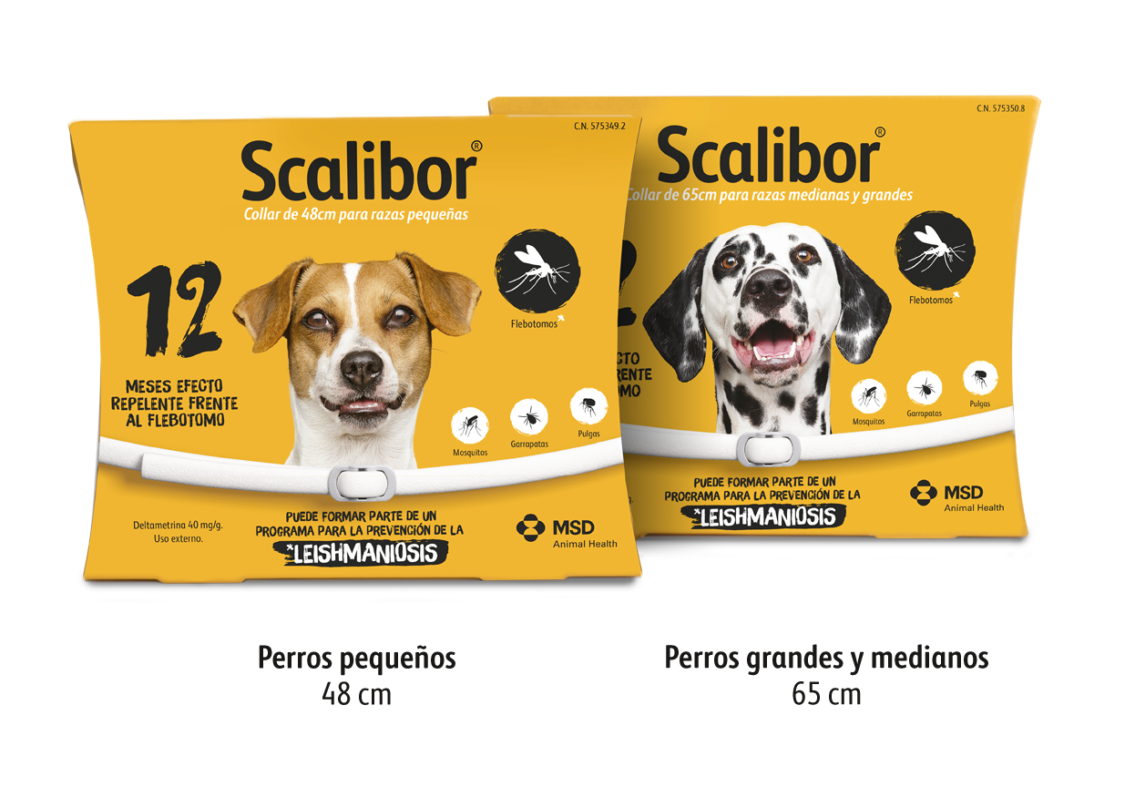 Dos variantes de empaque amarillo de Scalibor para perros pequeños y grandes, con fotos de un perro mestizo y un Dálmata sobre fondo negro.