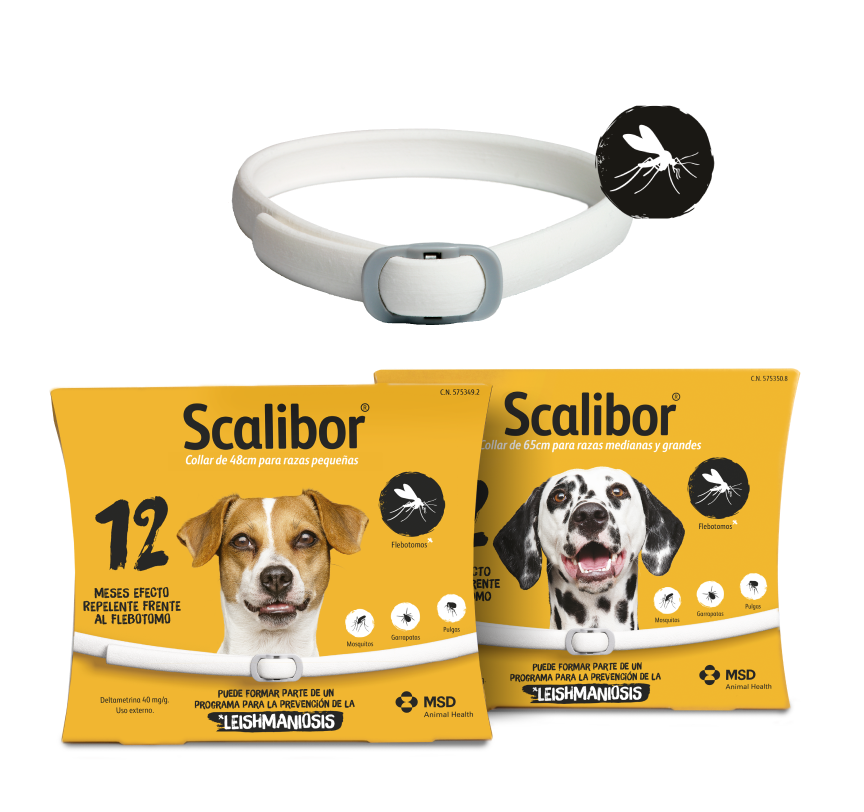 Un collar antiparasitario blanco Scalibor mostrado sobre dos cajas de producto con imágenes de un perro pequeño y un dálmata, todo sobre fondo negro.