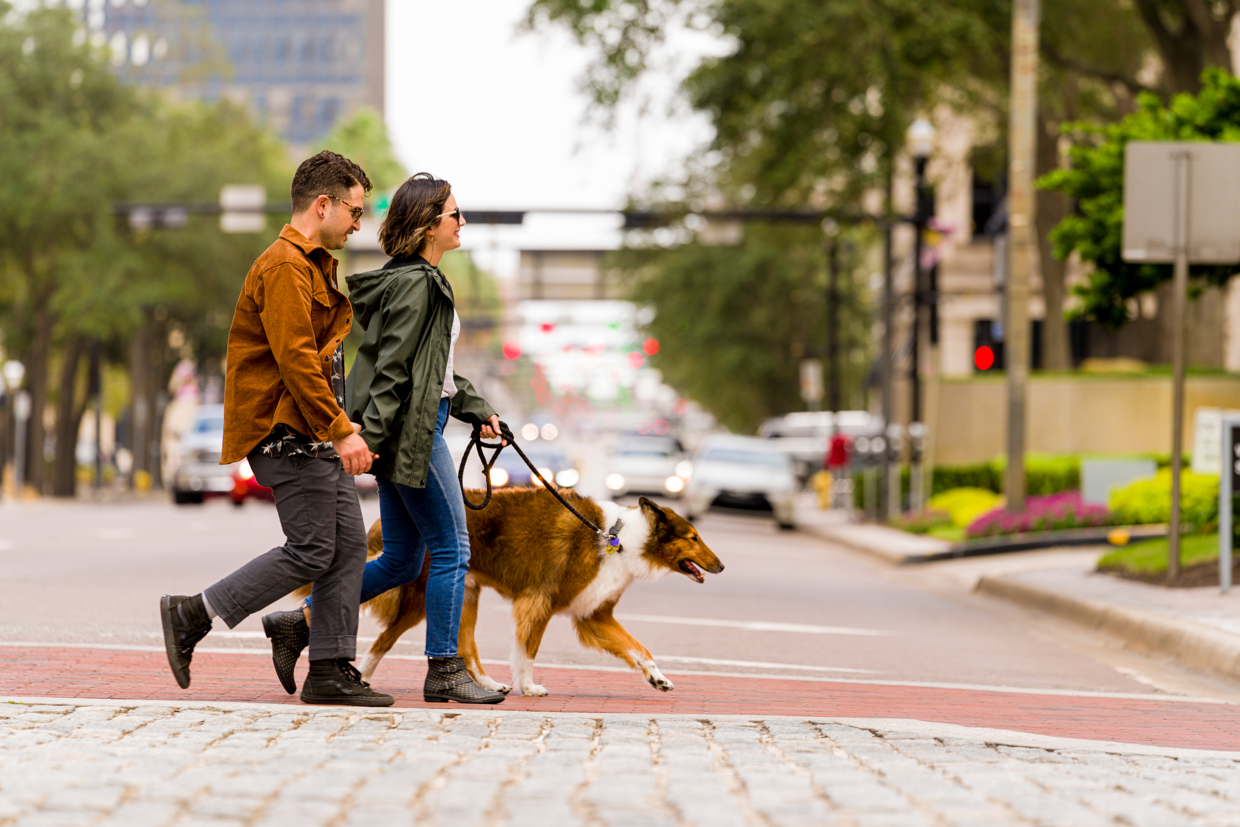 Paseo de perros en la ciudad Persona paseando a varios perros en una calle urbana