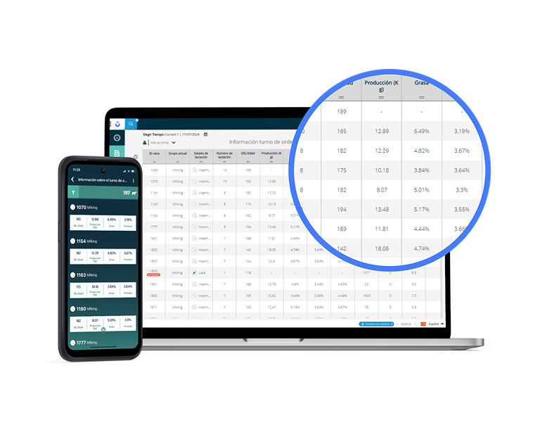 Interfaz de tabla de datos de producción lechera mostrada en smartphone y laptop con zoom circular en columnas de kilogramos y grasa.