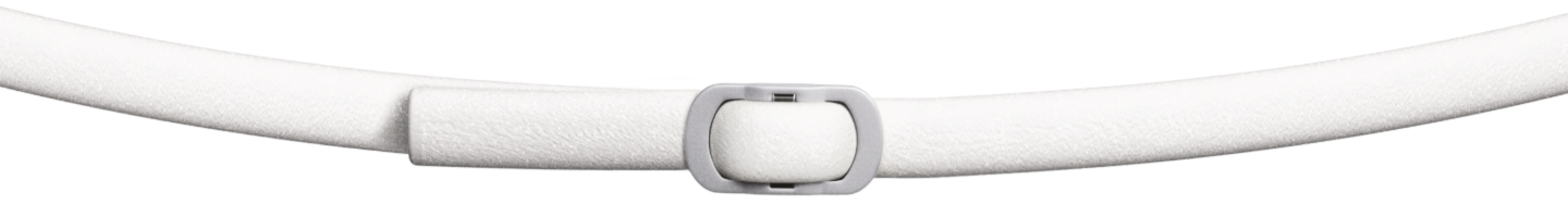 Primer plano de un collar ajustable blanco para perro con hebilla