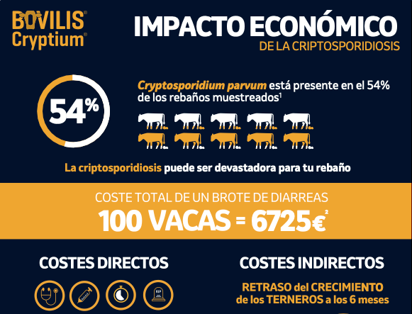 Infografía sobre el impacto económico de la criptosporidiosis en el rebaño