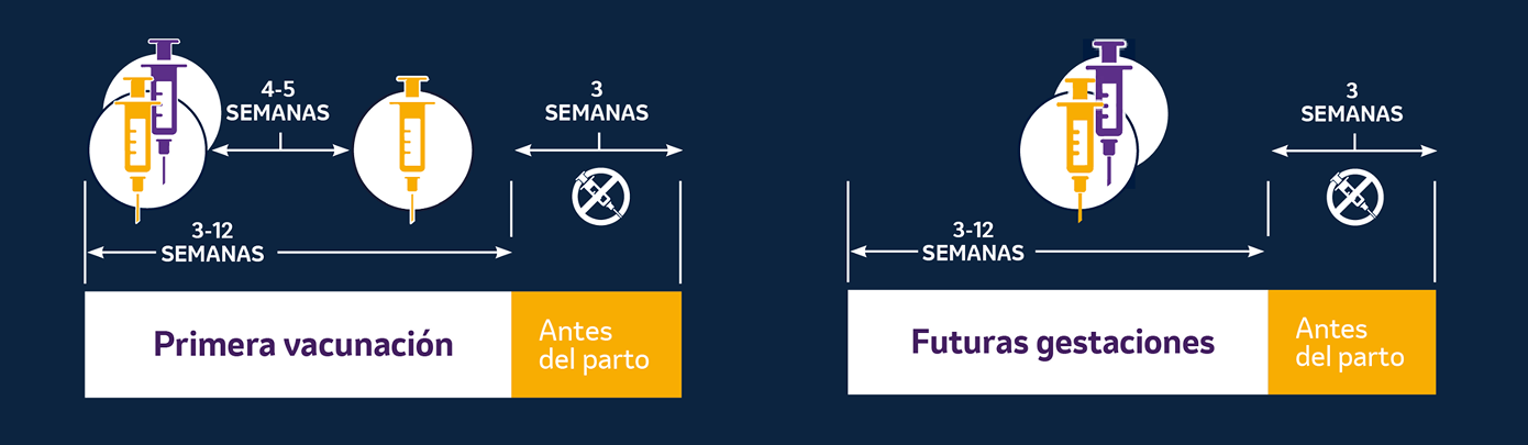 Esquema de vacunación para primera vacunación y futuras gestaciones antes del parto