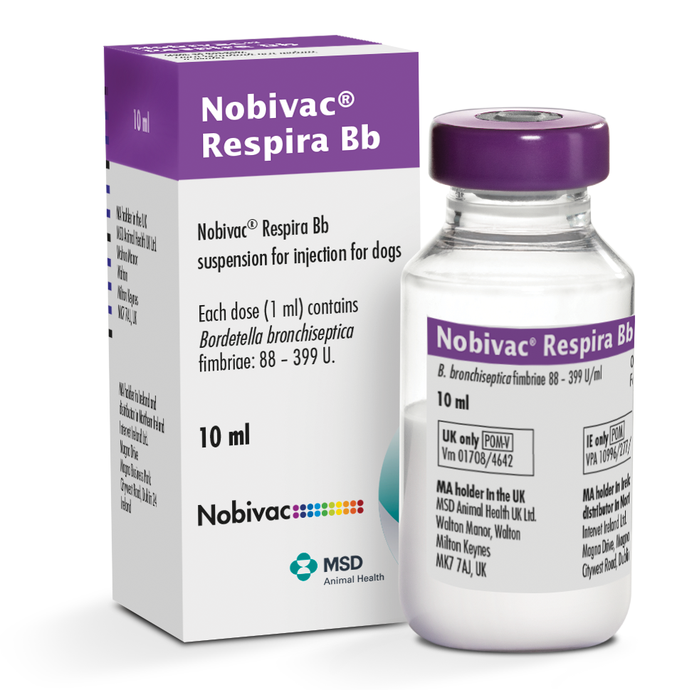 Nobivac® Respira BB vial Vial del producto inmunológico veterinario Nobivac® Respira BB de MSD Animal Health. El empaque muestra la marca Nobivac® Respira BB, información del producto y el logotipo de MSD Animal Health.